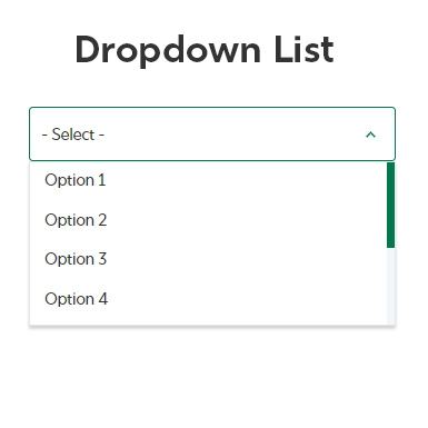 Dropdown List Snippet