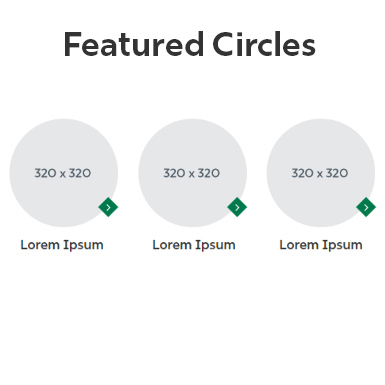 Featured Circles Snippet