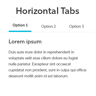 Horizontal Tabs snippet