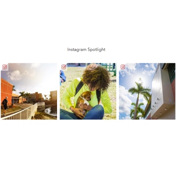 feed snippet