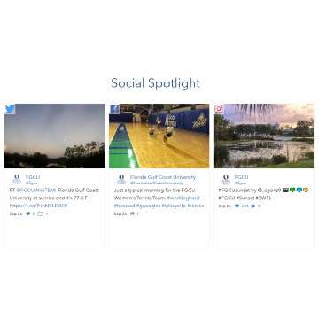 feed snippet