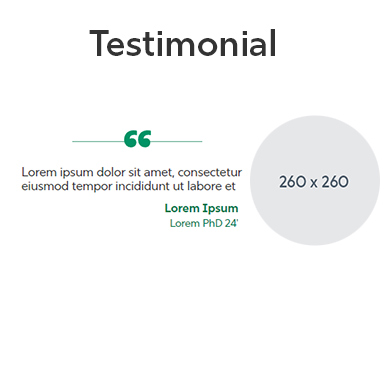 Testimoniall snippet
