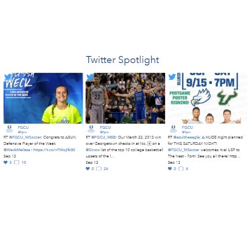 feed snippet