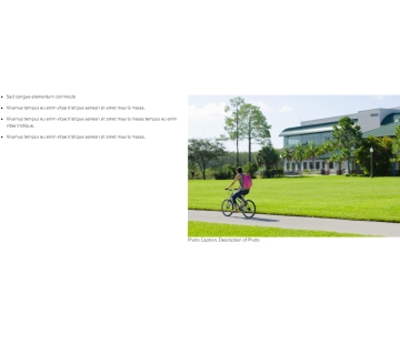 text image snippet