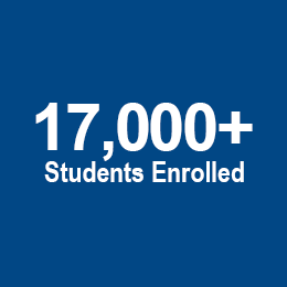 17000+ Students Enrolled
