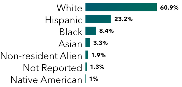 White 60.9%, Hispanic 23.2%, Black 8.4%, Asian 3.3%, non-resident alien 1.9%, not reported 1.3%, Native American 1%