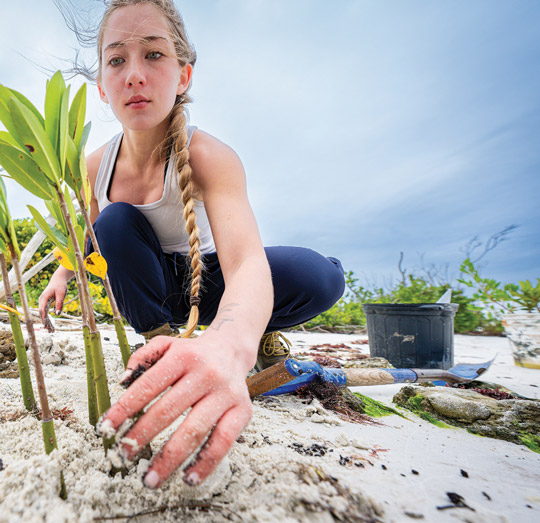 Volunteers planting mangroves at Bowditch Point Park