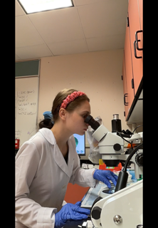 Sage Cohen processing spaceflight mouse brains.