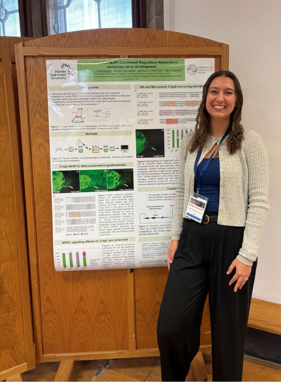 Student Madisyn Hildenbrand presenting at the European Society for Evolutionary Developmental Biology in Scotland. Student Madisyn Hildenbrand presenting at the European Society for Evolutionary Developmental Biology in Scotland.