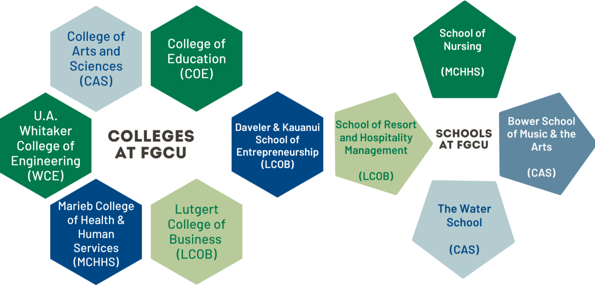 Colleges and Schools