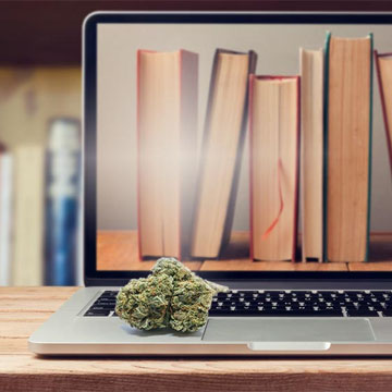 Cannabis Laptop
