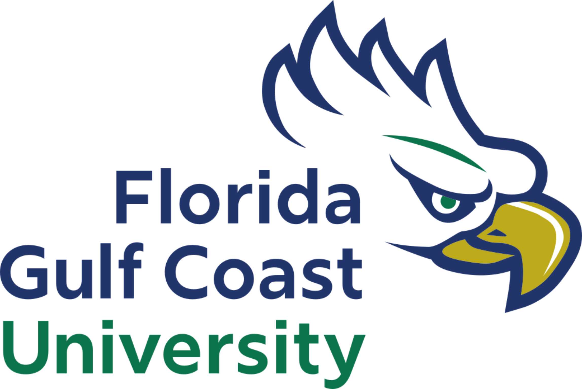 FGCU Academic Logo Stacked
