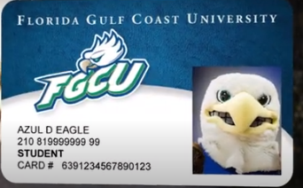 Eagle ID