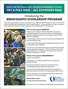 Thumbnail image of scholarship flyer
