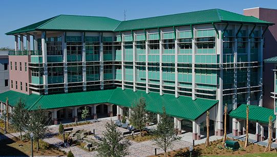 Marieb College of Health & Human Services photo
