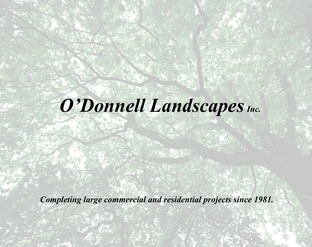 o'donnell landscapes logo