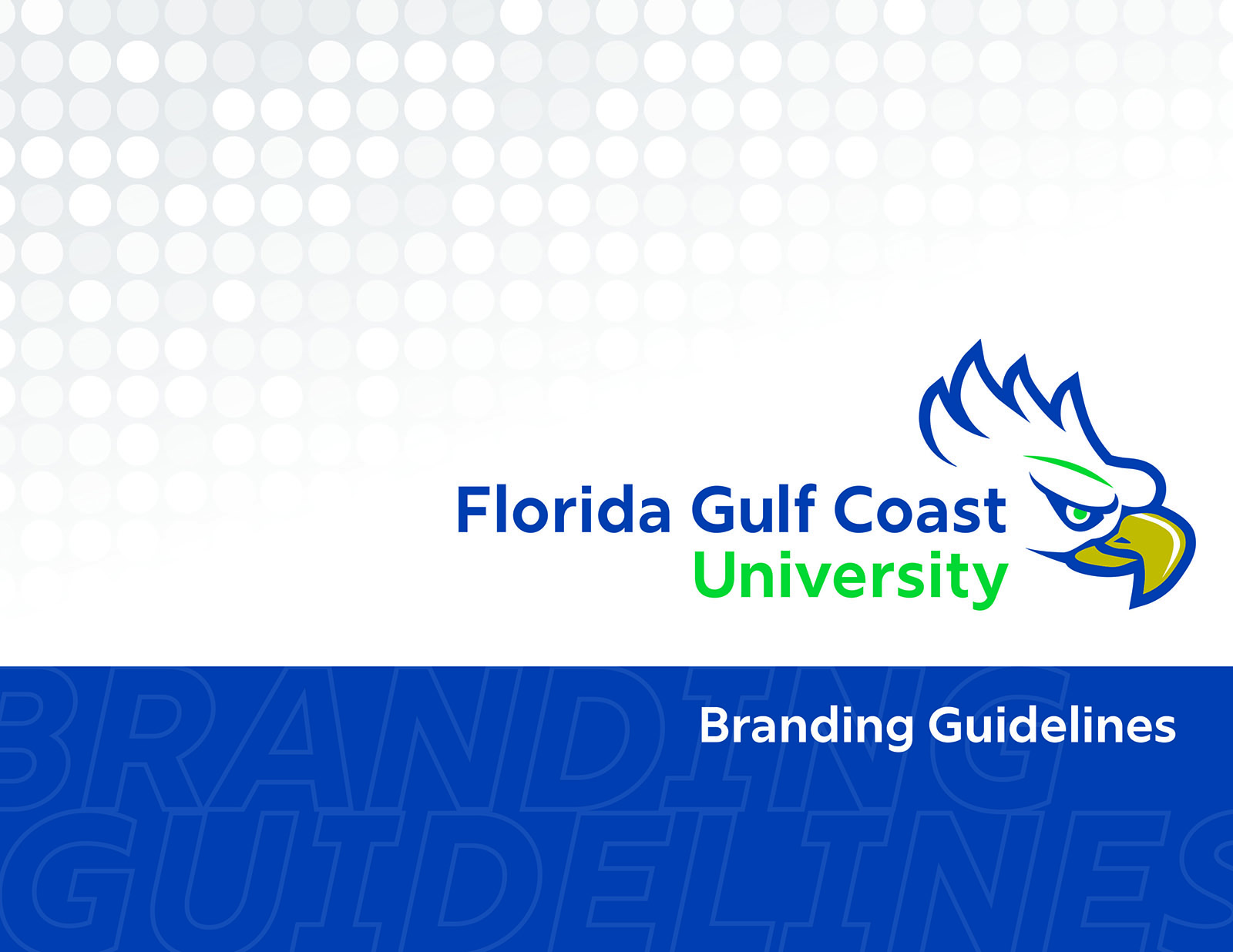 Branding Guidelines cover photo