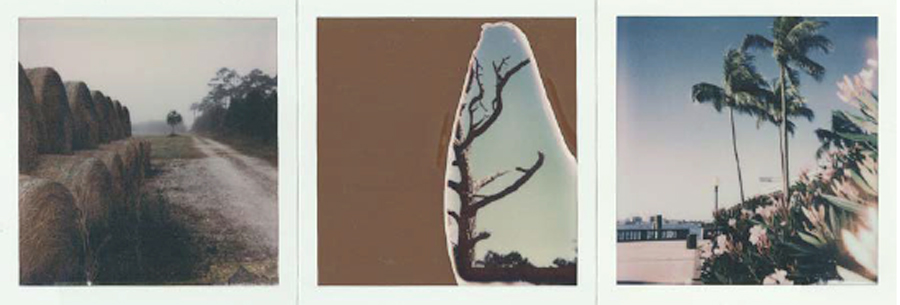 Diana Talavera. (from left to right) Misty, Snag, River, 2023. Instant film, 2.623 x 2.122 in. Diana Talavera. (from left to right) Misty, Snag, River, 2023. Instant film, 2.623 x 2.122 in.