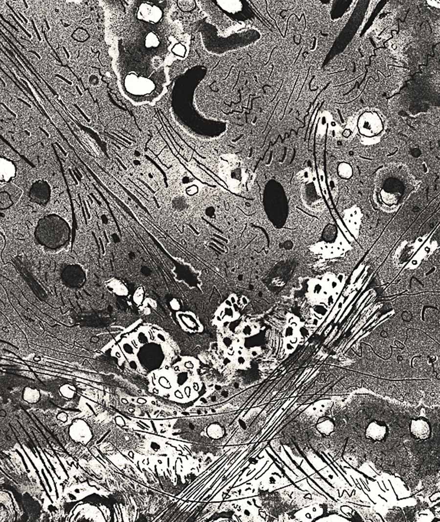 Mildred Thompson (American, 1936-2003). Helio Centric I, 1993. Vitreograph print. 29.5 x 23.5 in. Gift of Carol L. Shay, Collection of FGCU Art Galleries. 2021.0006.0087.5 Mildred Thompson (American, 1936-2003). Helio Centric I, 1993. Vitreograph print. 29.5 x 23.5 in. Gift of Carol L. Shay, Collection of FGCU Art Galleries. 2021.0006.0087.5