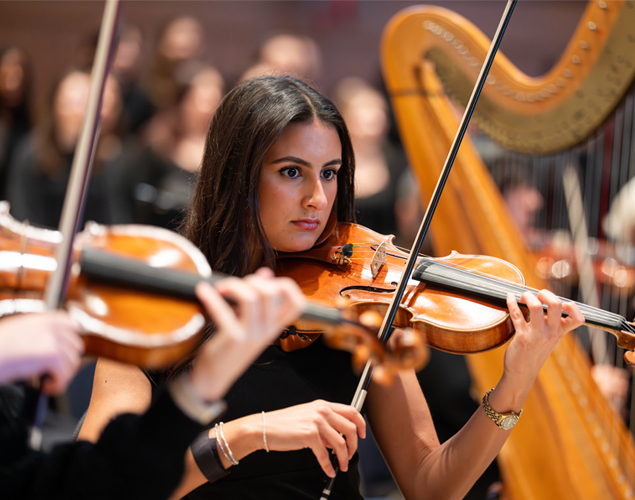Symphony image People playing stringed instruments