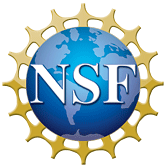 NSF Logo - decorative image