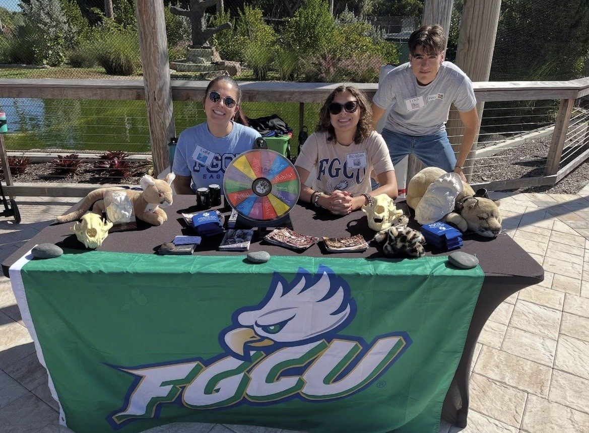 Photo of 3 student assistants tabling for an outdoor event. Table has green tablecloth with FGCU logo on front, animal skull models, animal photos, stuffed animals, and trivia wheel on table.