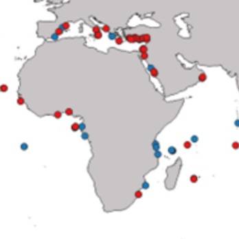 The distribution of microplastic.