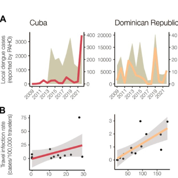Travel surveillance from Florida correlates with local dengue infection rates in endemic countries and territories with robust local surveillance and casereporting.