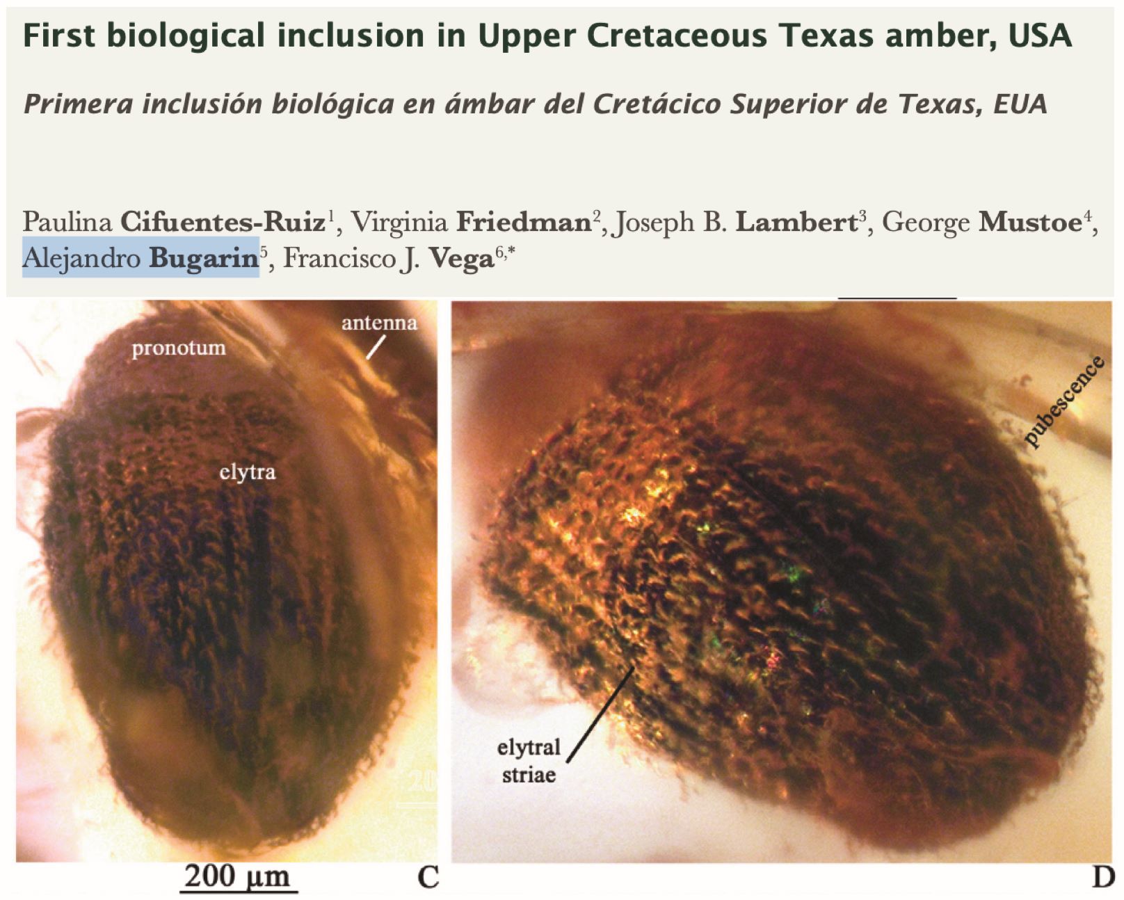 Interdisciplinary Engagement