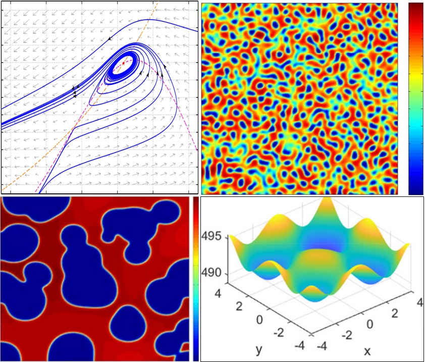 Patterns