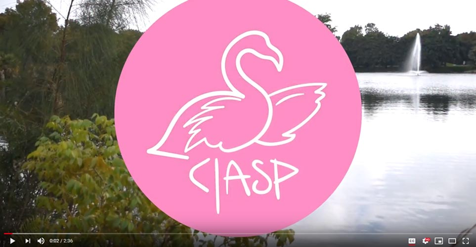CLASP program video graphic