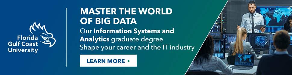Master's Degree in Information Systems & Analytics