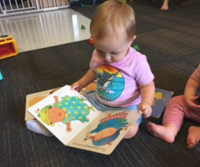 Baby holding a book
