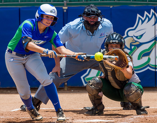 FGCU softball player bunking a ball in a game.
