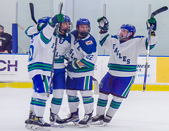 Teamwork Skills Badge