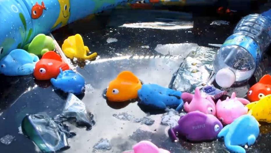 Stormwater fish