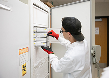 A student wearing gloves pulls boxes out of a freezer.