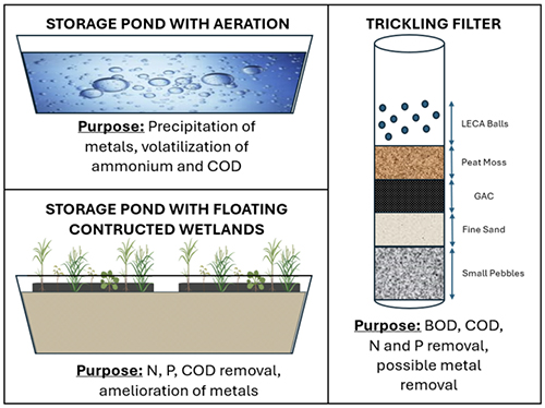 Diagram showing how aeration prior to the floating treatment wetlands may improve plant survivability, and therefore the longevity and efficacy of the floating treatment wetlands, by reducing dissolved metal concentrations. The floating constructed wetlands can reduce COD and ammonium, as shown in former FGCU research and throughout the literature. The trickling filter step is critical for enhanced BOD and COD reduction, as well as ammonium.
