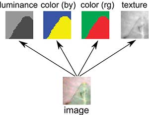 Edge detection