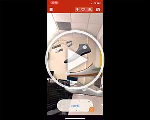 Stephanie's Video