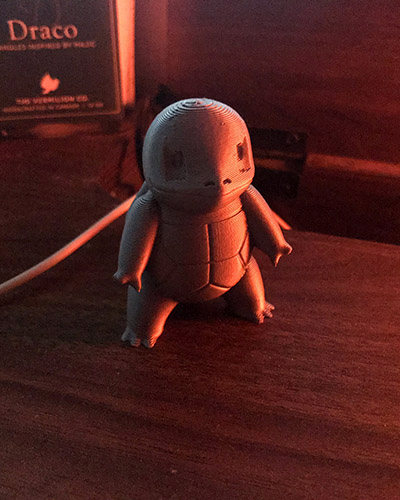 Caitlyn Newman's 3D Print