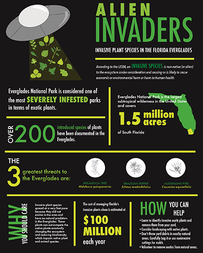 Amber Frank's Infographic