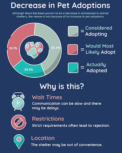 Haley Jouret's Infographic