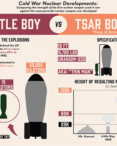 Meghan O'Quinn's Infographic
