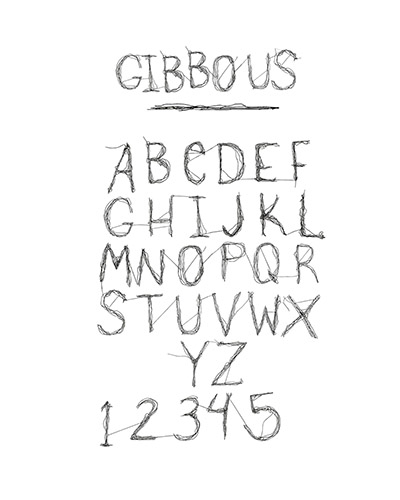 Emily Bernard's Typography II Project
