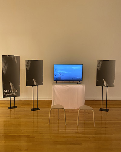 Aracelly Peralta's Project