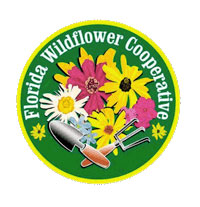 Wildflower Logo