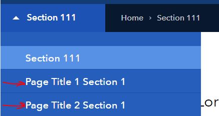 Local nav items