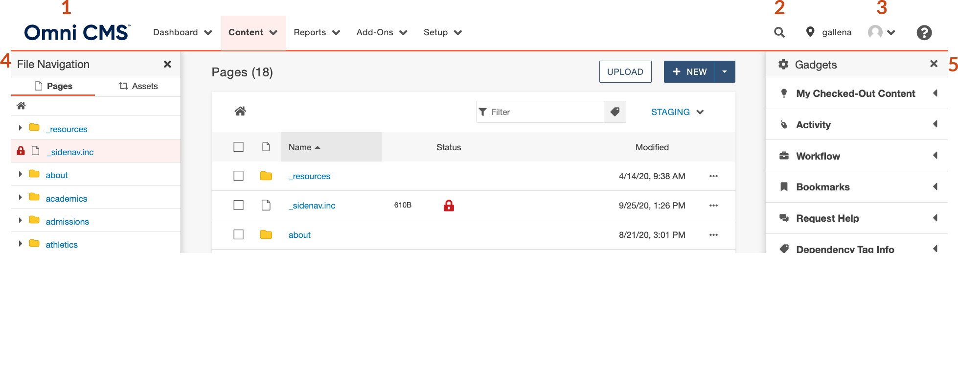 Omni CMS Interface