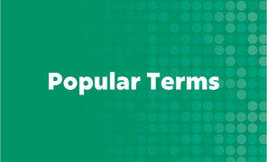 Popular Website Terms